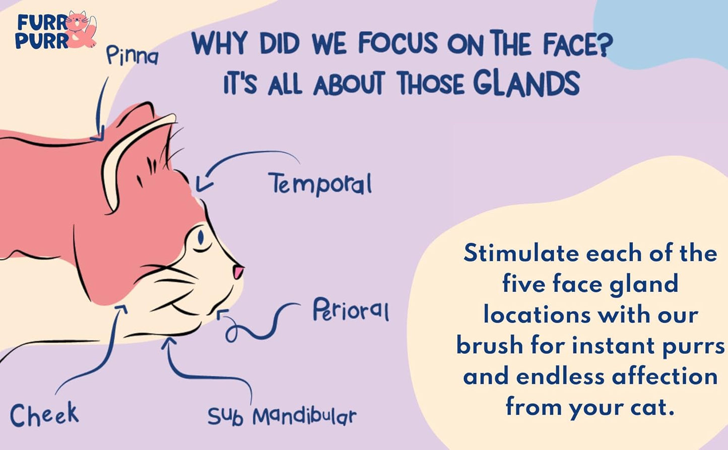 Furr&Purr Cat Brush, Scratcher, and Massager - Indoor Cat Calming Care with Face Scratcher, Finger Brush (3-Pack, Made in USA)