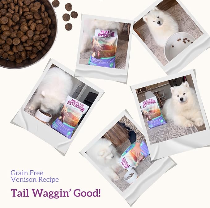 Health Extension Grain Free Venison & Sweet Potato Dry Dog Food (10 lb / 4.54 kg) - Lean Protein Formula for Dogs with Poultry Allergies & Sensitive Stomachs