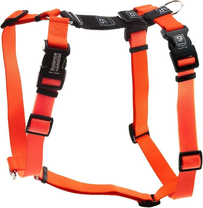 Blue-9 Buckle-Neck Balance Harness, Fully Customizable Fit No-Pull Harness, Ideal for Dog Training and Obedience, Made in The USA, Orange, Medium/Large