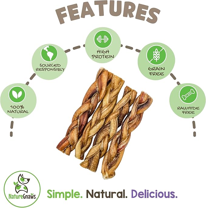 Nature Gnaws Braided Bully Sticks for Dogs 5-6" (10 Count) - Long Lasting for Small and Medium Dogs - Natural Beef Dog Chew Bones - Rawhide Free