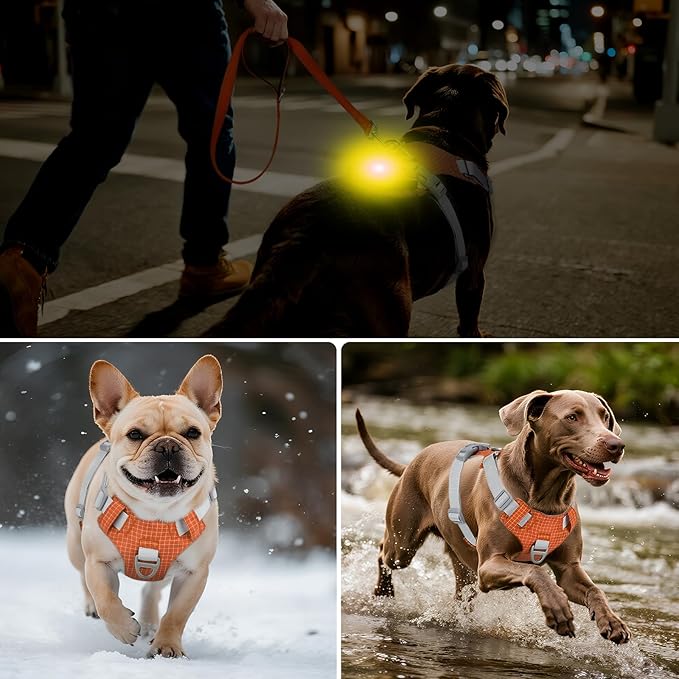 Joytale Lightweight Light Up Dog Harness, Rechargeable No-Pull LED Dog Harness with Detachable Light Box, Airtag Holder, Adjustable for Night Walking, Running & Everyday Use, Orange, M