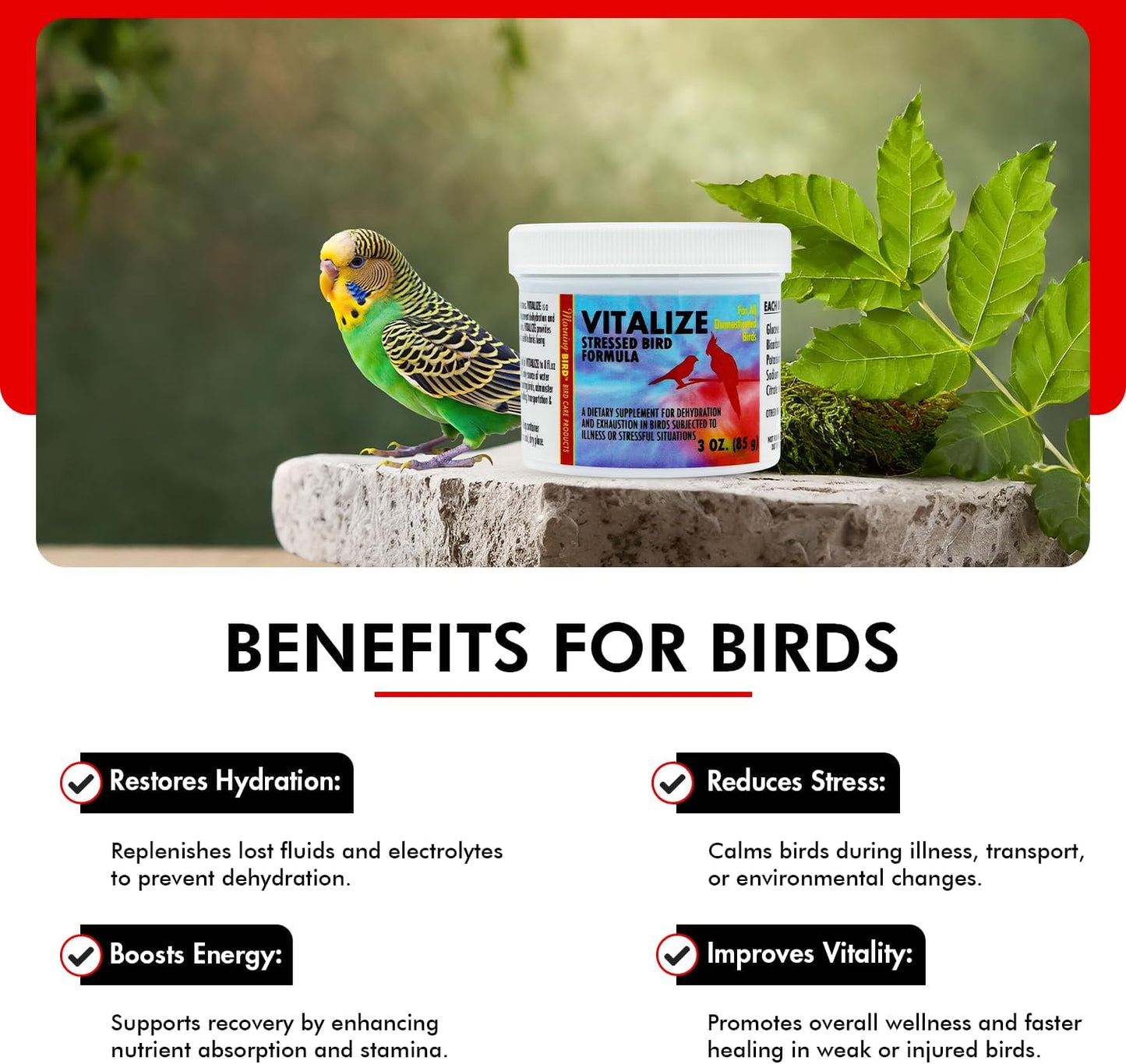 Morning Bird Vitalize, Supplement for Sick, Injured, or Stressed Caged Birds; Dehydration and Exhaustion Treatment for Parakeets, Cockatiels, Budgies, Finches, Canaries, and Parrots, 3 oz