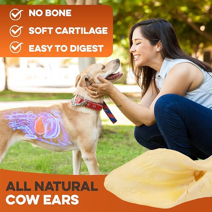 Cow Ears for Dogs – Whole Ears 12 ct, Thick Cut, Grass-Fed Angus Beef, All-Natural No-Rawhide Dog Treat Alternative