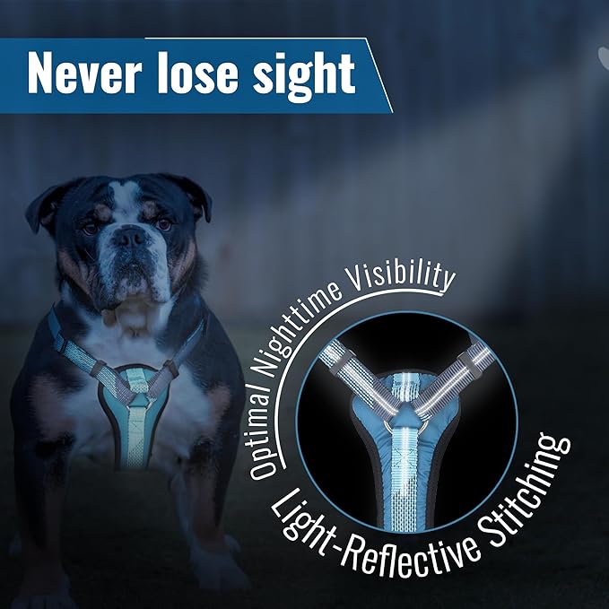 No-Pull Dog Harness with Handle - Escape Proof, Anti-Pulling, Grip Control, Multi-Angle Reflective for Safe Walks & Training, Easy On & Off, Metal Buckle–Pet Harness, Medium/Large Dogs- N H4- Blue