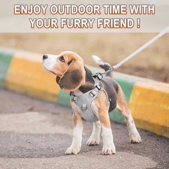 Dog Harness Step in Dog Vest Harness, Reflective Adjustable Puppy No Pull Harness Breathable Soft for Small and Medium Dogs Cats, Grey, XS