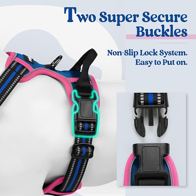 rabbitgoo Dog Harness No Pull with 2 Leash Clips, Adjustable Soft Padded, Reflective Oxford No Choke Pet Vest with Easy Control Handle for Large Dogs, Blue & Hot Pink, XL