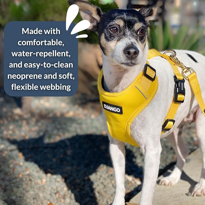 DJANGO Adventure Dog Harness - Stylish Medium Dog Harness for Outdoor Adventures and Everyday Wear - Dandelion Yellow Neoprene Adjustable Harness for Dogs with Reflective Piping and Solid Brass D-ring