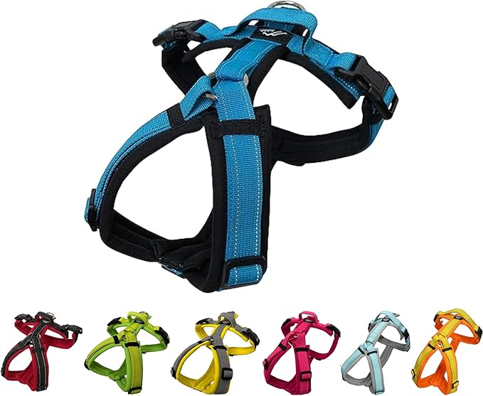 [白山:Hakusan] Zero Dog Harness Made by Japan, Safe - No chocking/Hard to Disconnect, Great fit - Easy Put on and Off/Adjustable, Reflector, Tiny - Small & Medium Dog, Two-Tone Black×Turquoise