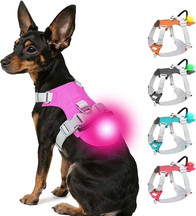 Joytale Lightweight Light Up Dog Harness, Rechargeable No-Pull LED Dog Harness with Detachable Light Box, Airtag Holder, Adjustable for Night Walking, Running & Everyday Use, Hotpink, XS