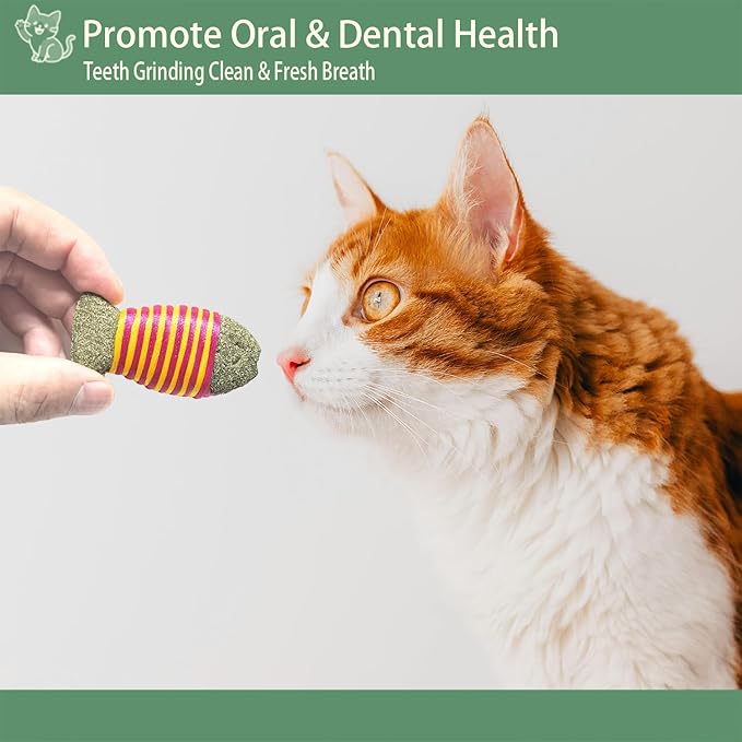 6-Pack Diverse Shaped Catnip Cat Toys - Suitable for Indoor Cats & All Cat Breeds, Including Frog, Lobster, Feather Fish, Striped Fish, Crab & Mouse Shapes