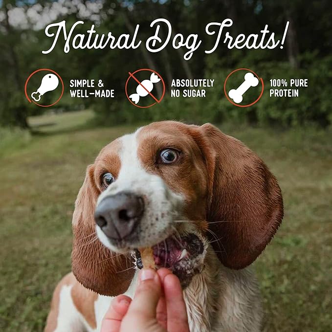 Beg & Barker Pork Jerky for Dogs (10 oz, Pack of 1) - Dog Training Treats - Natural Dog Treats Made in The USA - Grain Free, Diabetic-Friendly, High Protein, Sugar-Free (Pork Dog Jerky)