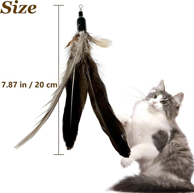 Cat Feather Toys Refills, 10 Pieces Natural Da Bird Feathers Refills, Cat Wand Replacement Feathers for Cat Toy