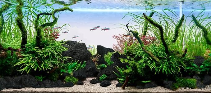 LANDEN Black Lava Stones (16lbs,3~10inch,11pcs) for Aquascaping Terrariums, Paludarium, Vivariums, Reptile and Amphibian Enclosures