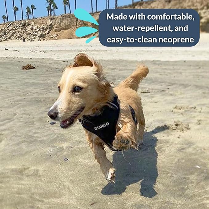 DJANGO Adventure Dog Harness - Stylish and Comfortable Medium Dog Harness for Outdoor Adventures and Everyday Wear - Black Neoprene Adjustable Harness for Dogs with Reflective Piping and Brass D-Ring