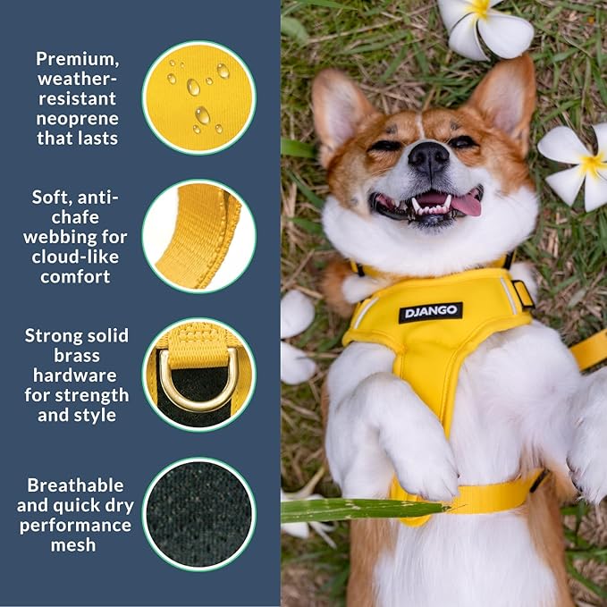 DJANGO Adventure Dog Harness - Stylish Large Dog Harness for Outdoor Adventures and Everyday Wear - Dandelion Yellow Neoprene Adjustable Harness for Dogs with Reflective Piping and Solid Brass D-Ring