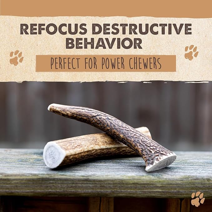 Mighty Paw Split Elk Antlers for Dogs (Sourced in The USA) | 1 Whole Monster 8"+ Long Lasting Bones for Aggressive Chewers - Naturally Shed Split Deer Antler for Dogs - Low Odor Chews (Pack of 1)