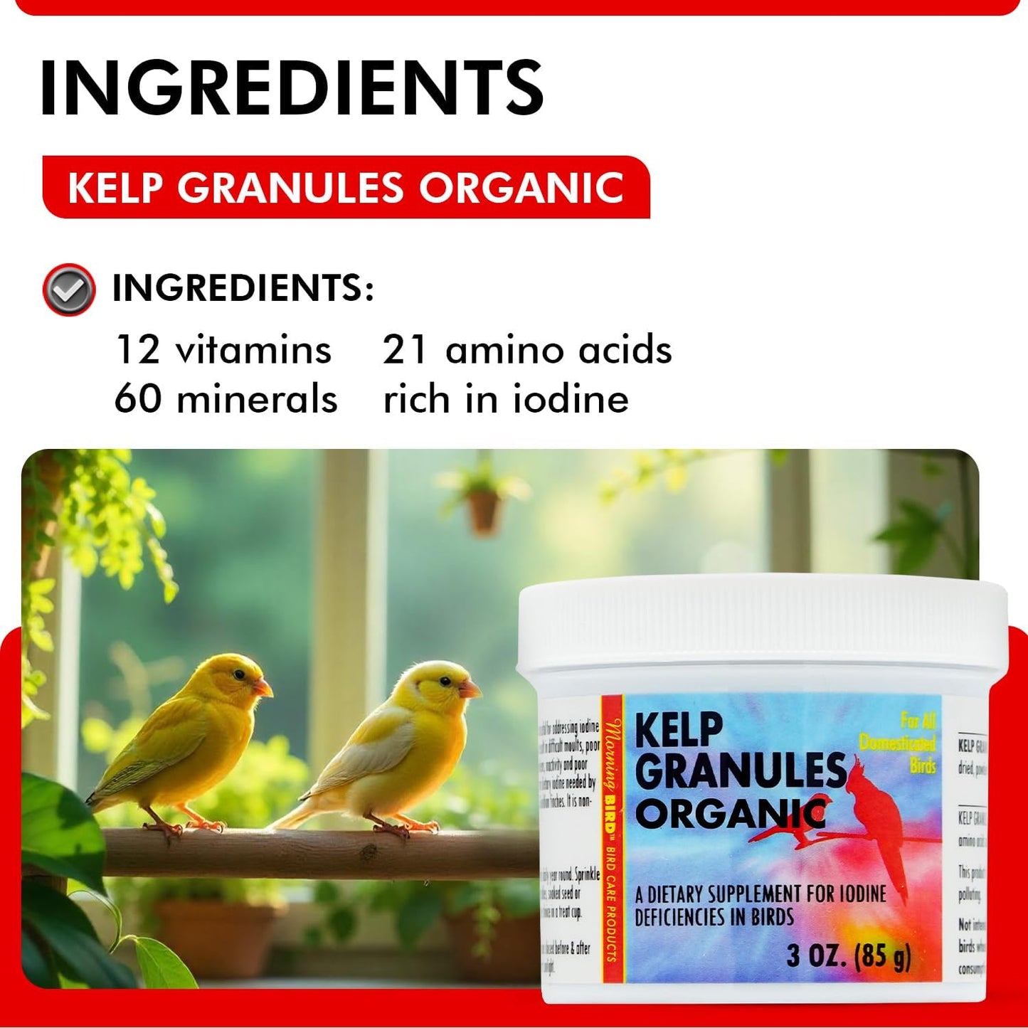 Morning Bird Kelp Granules 3 Oz – Iodine Supplement for Birds – Supports Feather Growth, Molting & Metabolism – Rich in Amino Acids, Trace Minerals & Natural Vitamins – Clean Nutrition for All Birds