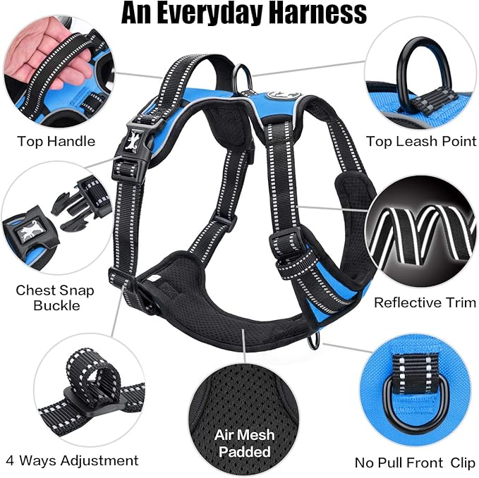 PoyPet No Pull Dog Harness, Reflective Comfortable Vest Harness with Front & Back 2 Leash Attachments and Easy Control Handle Adjustable Soft Padded Pet Vest for Small to Large Dogs (Blue,XL)