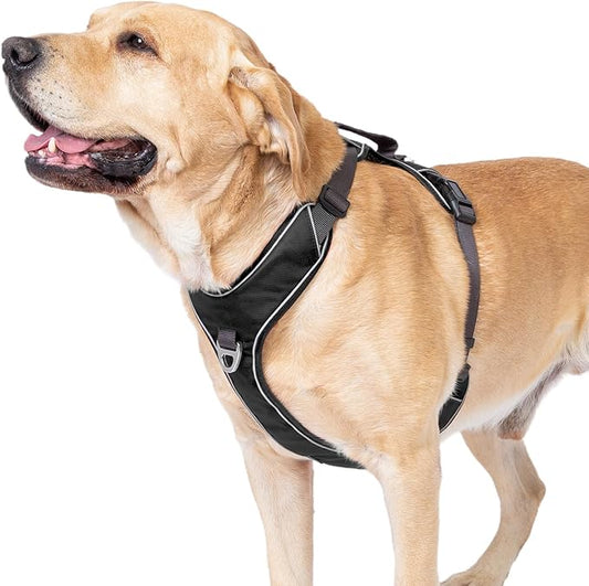No Pull Dog Harness with Back Control Handle Medium Sized, Reflective Vest, Adjustable and Padded, Easy Walker Front/Back Clips (Black, Medium)