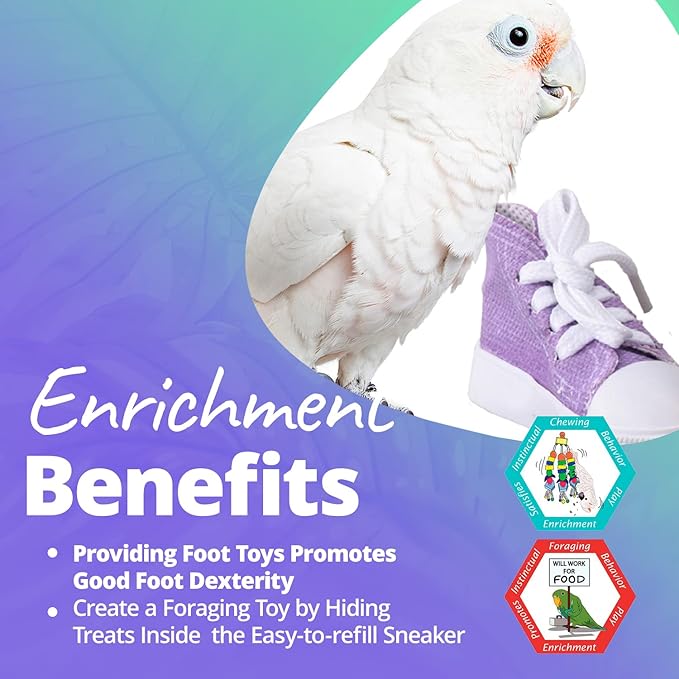 Super Bird Creations SB50011 Sneaker Bird Toy - Durable Safe Chew Toy - Ideal for Cockatiels Parakeets Parrots Small to Large Birds - Vibrant, Assorted Colors 3" x1-1/2 x 1-3/8" (24 Pack)