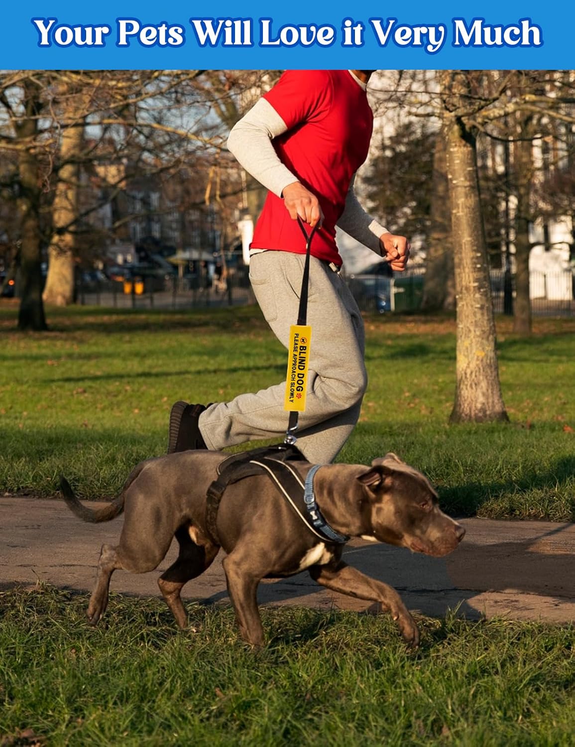 Blind Dog Please Approach Slowly Leash Sleeve, Funny Yellow Alert Hanging ID Patch Tag, Do Not Pet Velcro Patch, Pet Birthday Gifts for Dog Lovers Owner