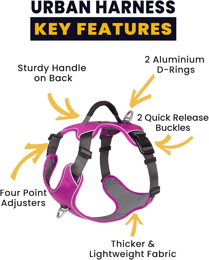 No Pull Dog Harness with Back Control Handle for Large Dogs, Reflective Vest, Adjustable and Padded, Easy Walk Front/Back Clips (Purple, Large)