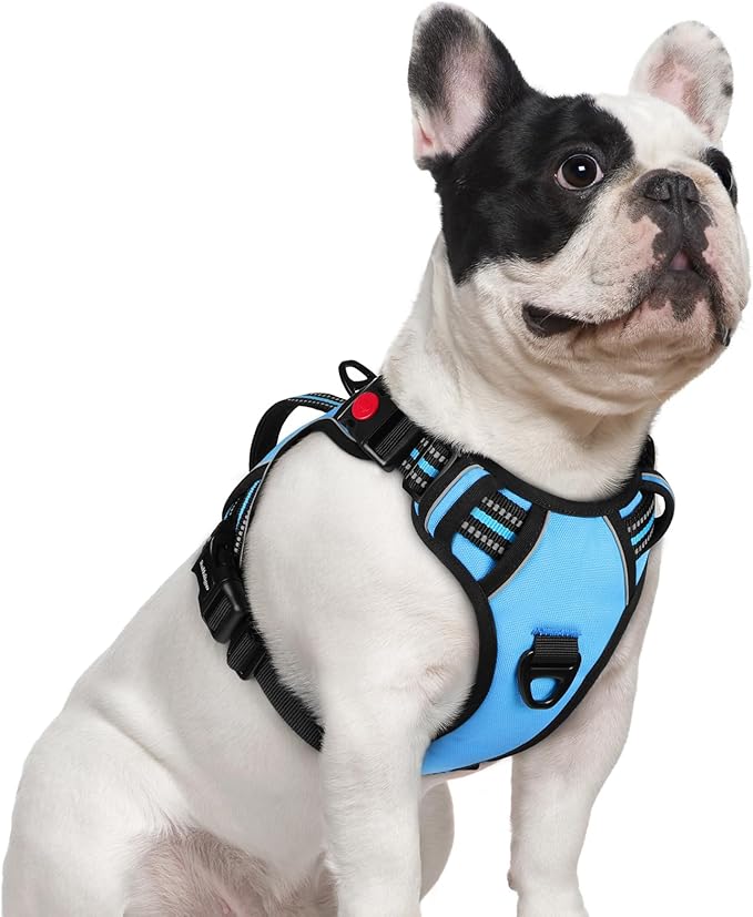 rabbitgoo Dog Harness Small Sized Dog, No Pull Pet Harness with Soft Padded Handle, Adjustable Reflective Vest with 3 Buckles, Easy Walking Harness with 2 Leash Clips, Light Blue, S