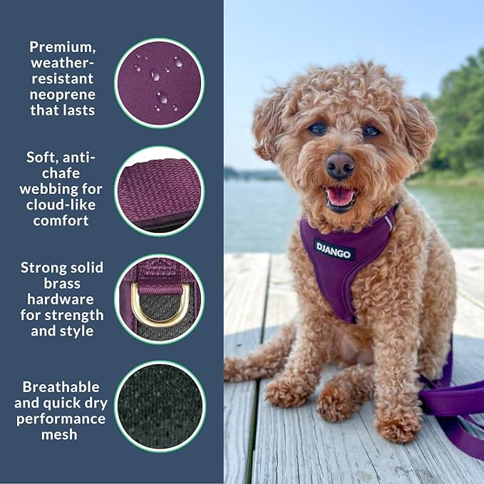 DJANGO Adventure Dog Harness - Stylish, and Durable Small Dog Harness for Outdoor Adventures and Everyday Wear - Plum Purple Neoprene Adjustable Harness for Dogs with Reflective Piping, Brass D-Ring