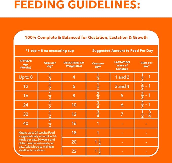 IAMs Proactive Health Dry Food for Cats - Kitten - Original - 3.18kg