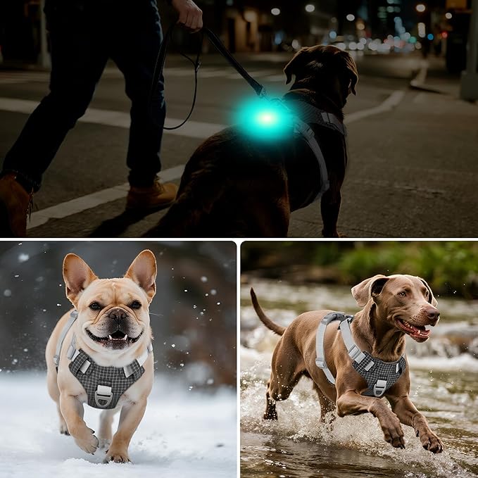 Joytale Lightweight Light Up Dog Harness, Rechargeable No-Pull LED Dog Harness with Detachable Light Box, Airtag Holder, Adjustable for Night Walking, Running & Everyday Use, Black, M