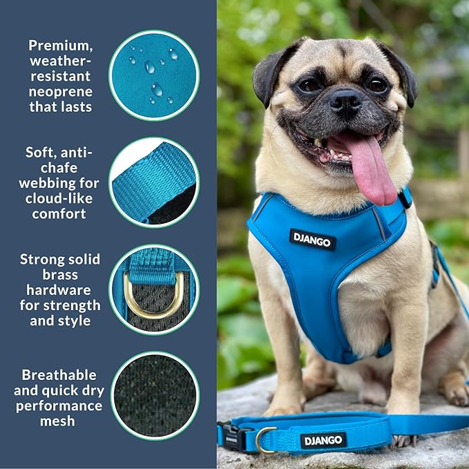 DJANGO Adventure Dog Harness - Stylish & Durable Small Dog Harness for Outdoor Adventures and Everyday Wear - Pacific Blue Neoprene Adjustable Harness for Dogs with Reflective Piping, Brass D-Ring