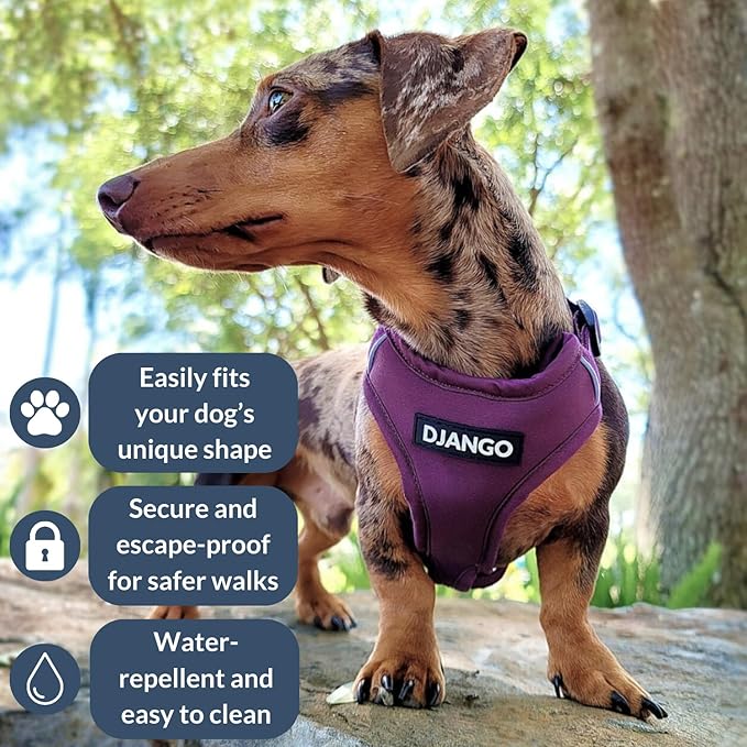 DJANGO Adventure Dog Harness - Stylish, and Durable Medium Dog Harness for Outdoor Adventures and Everyday Wear - Plum Purple Neoprene Adjustable Harness for Dogs with Reflective Piping, Brass D-Ring