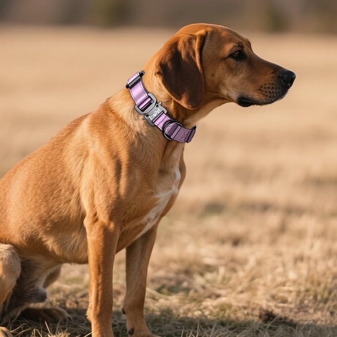 AirTag Dog Collar - Leather Dog Collar with Airtag Holder | IP68 Waterproof AirTag Holder with Metal Buckle, Comfortable GPS Dog Collars Tracker for Medium Large Dogs (Rose Gold, XL)