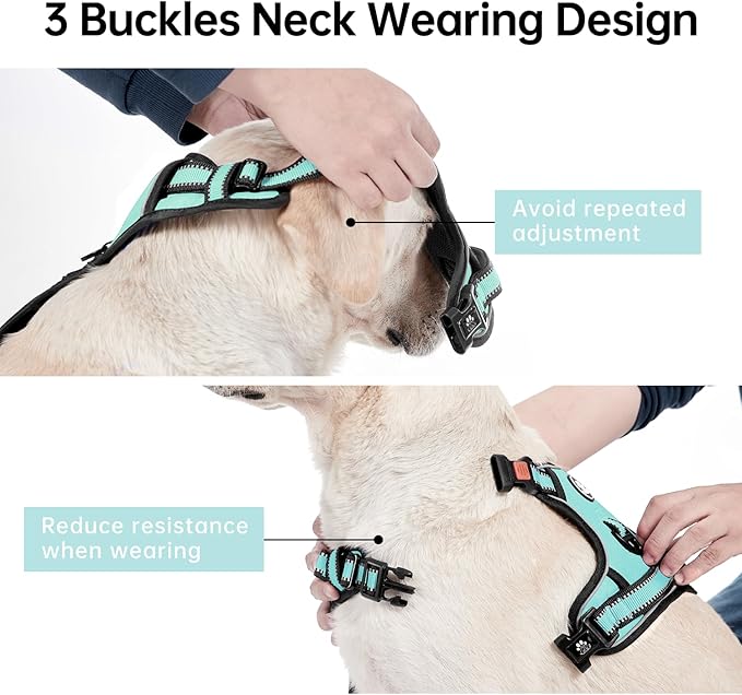 IVY&LANE No Pull Dog Harness with Leash Set, Reflective No Choke Pet Vest,Adjustable Oxford Dog Vest Harness with Easy Control Handle for Large Dogs (Turquoise,L)