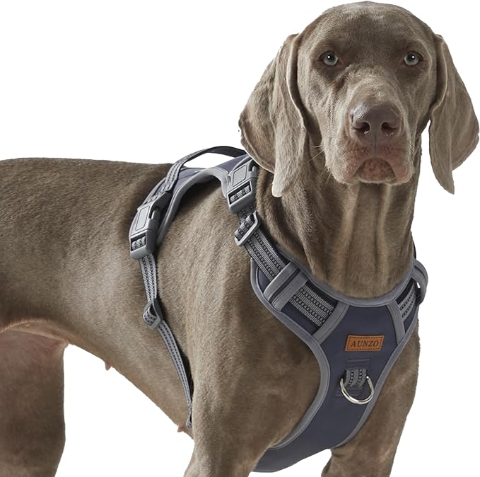 Adjustable No-Pull Reflective Soft Inescapable Dog Vest Harness for Big Dog Breeds, Siberian Husky Labrador Golden Retriever, Breathable Oxford Material, Front Leash Clip Control, L