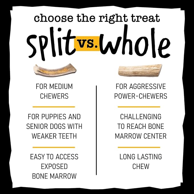 Snatchers Elk Antlers for Dogs – Long Lasting Dog Chews and Dog Toys for Aggressive Chewers, Naturally Shed Deer Antlers for Dogs Processed in The USA, No Additives (Small 4-5", 1 Count)