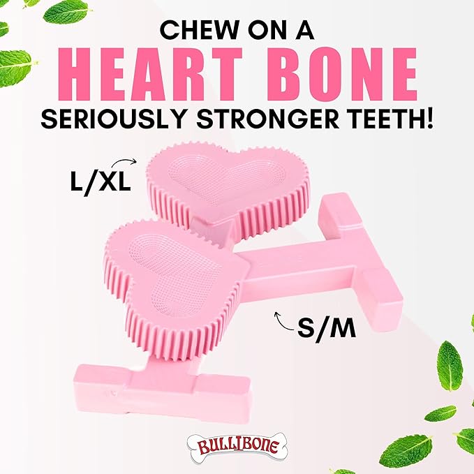 Bullibone Nylon Dog Chew Toy Nylon Bone - Improves Dental Hygiene, Easy to Grip Bottom, and Permeated with Flavor (Peppermint, Small - 3 Pack)