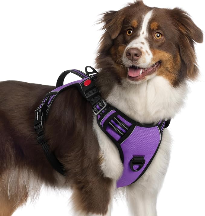 rabbitgoo Dog Harness Medium Sized, No Pull Pet Harness with Soft Padded Handle, Adjustable Reflective Vest with 3 Buckles, Easy Walking Harness with 2 Leash Clips, Purple, XL