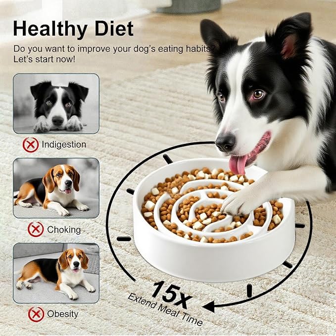 Slow Feeder Dog Bowls, Ceramic Dog Bowl with Anti-Slip, Slow Feeder & Non-Slip Design, Boredom and Anxiety Reducer, Suitable for All Breed Dogs and Cat (Ceramic-White)