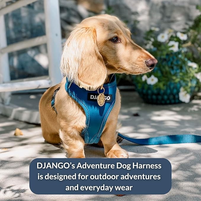 DJANGO Adventure Dog Harness - Stylish and Durable Small Dog Harness for Outdoor Adventures and Everyday Wear - Indigo Blue Neoprene Adjustable Harness for Dogs with Reflective Piping & Brass D-Ring