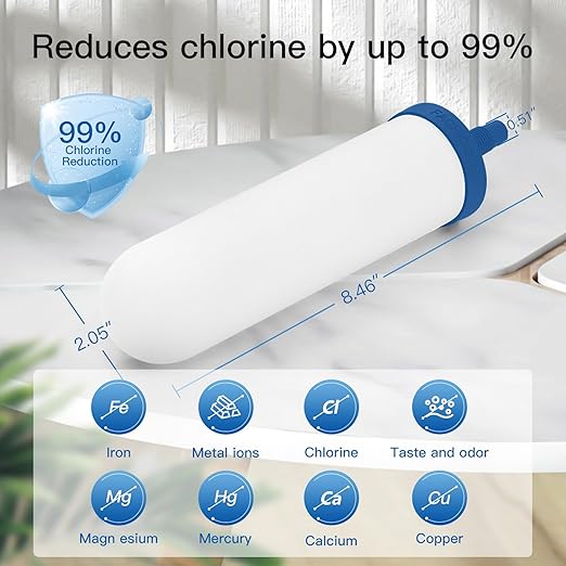 7" Ceramic Fluorine Filter, Replacement Filters for ProOne® G2.0 Filters, ProOne® Big+ or Big II Countertop Gravity Water Filter System and FACHIOO King Tank Series(Pack of 2)