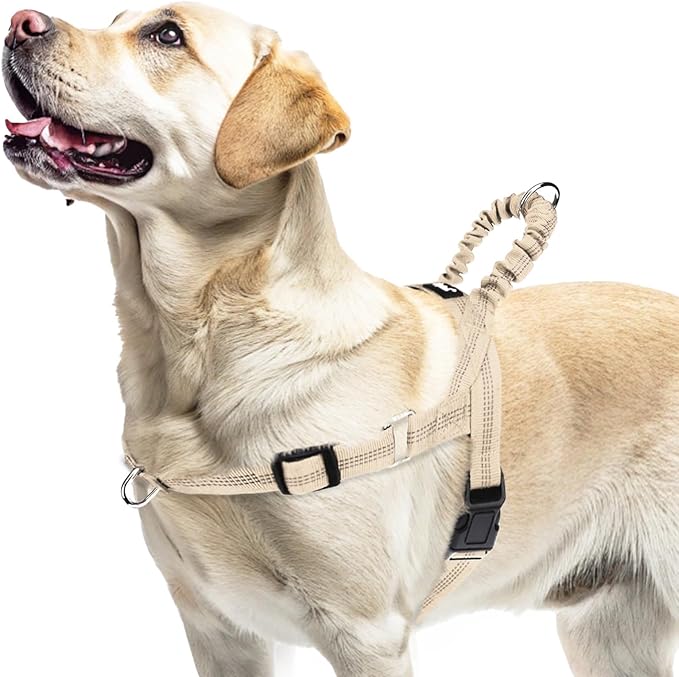 PUPTECK No Pull Dog Harness Medium Sized Dog, Adjustable Reflective Pet Vest Harness with Bungee Handle, Escape Proof No Choke Harness for Medium Dogs Walking Training, Beige L