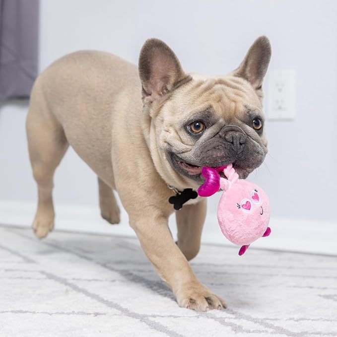 Huxley & Kent Tiny Tuff | Love Bugs | Valentine's Day Extra Tough Dog Toy for Small Dogs | 2-Pack Funny Dog Toy | Features Squeaker, Crinkle | Machine Washable