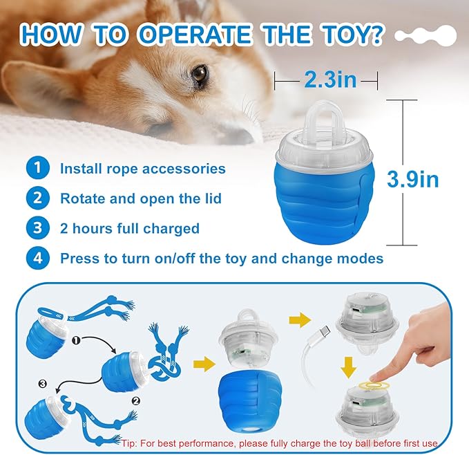 Interactive Dog Toys, [2025 Newly Upgraded] Interactive Dog Ball for Small Dogs, Automatic Moving Dogs Toy Wicked Ball for Boredom & Training, Play Music, USB Rechargeable(Blue)