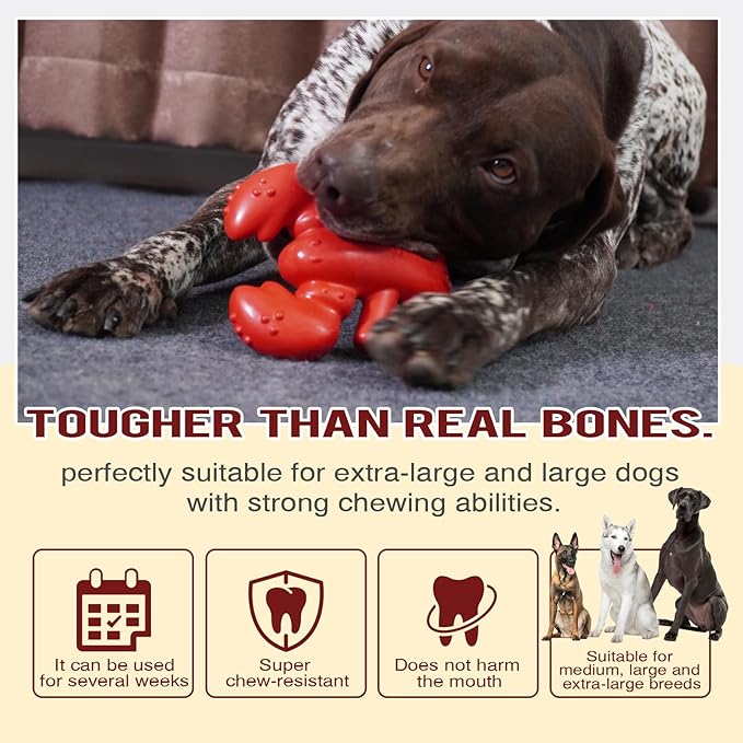 LiuMelinda Dog Chew Toys for Aggressive-Chewers - Indestructible Dog Toy for Aggressive Chewer，Tough Chew Toys for Dogs （Nylon Red-Lobster）