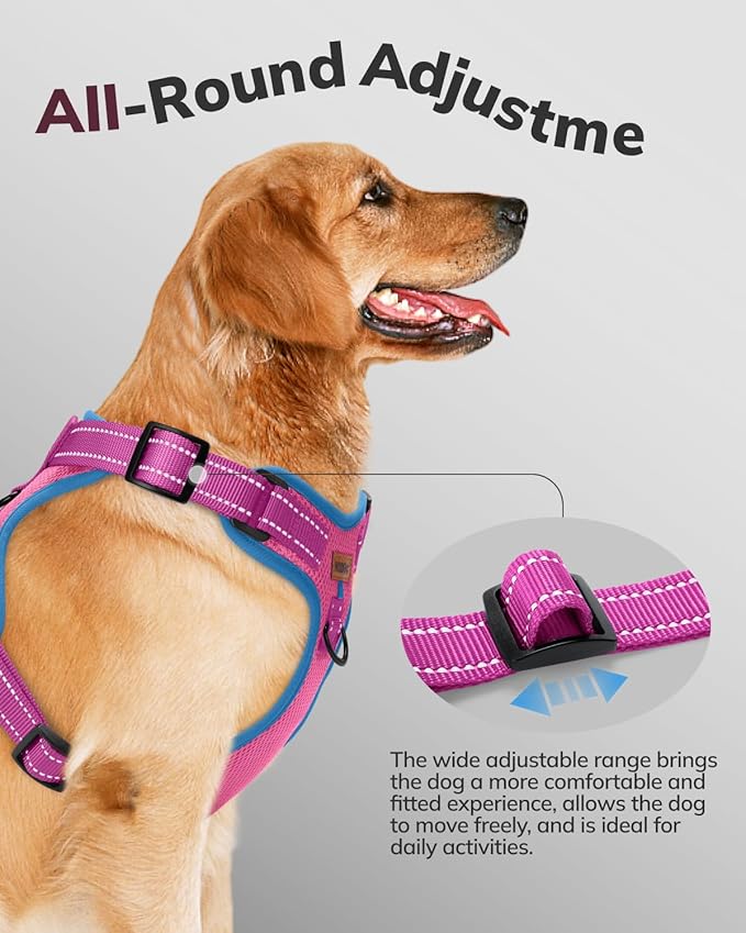 MIDOG No-Pull Dog Harness | Adjustable & Reflective Pet Harness Leash Set for Small Medium Large Dogs Walking, Training| No Choke, Front Clip, Soft Padded Vest with Easy Control Handle - Pink, XL