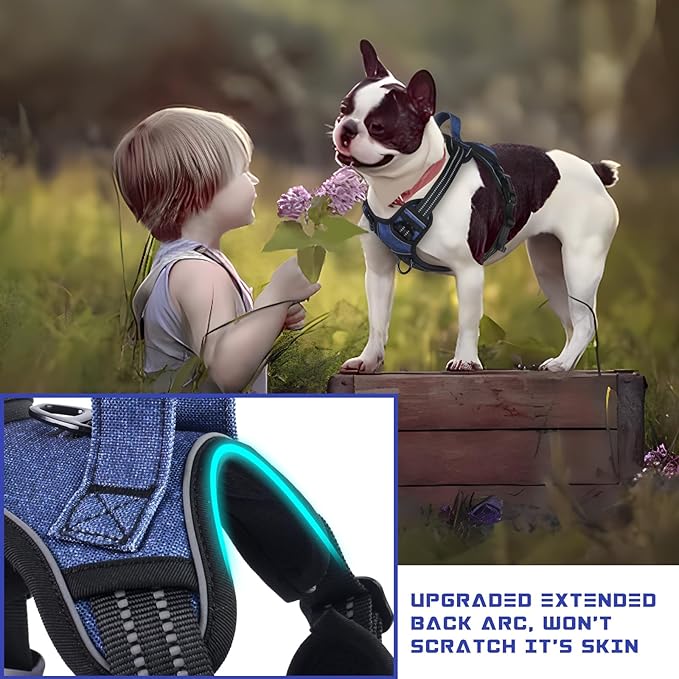 BUMBIN Dog Harness for Large Dogs, No Pull Adjustable No Choke Pet Vest with Dog Leash Fit Smart Reflective Pet Walking Harness for Training Easy Control Soft Handle Denim Blue M