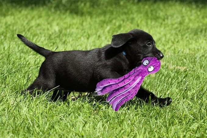 Squeaky Octopus Dog Toys for Small, Medium & Large Breeds - Durable & Soft Crinkle Plush Toys to Keep Dogs Busy - Blue & Purple Octopus 2pack