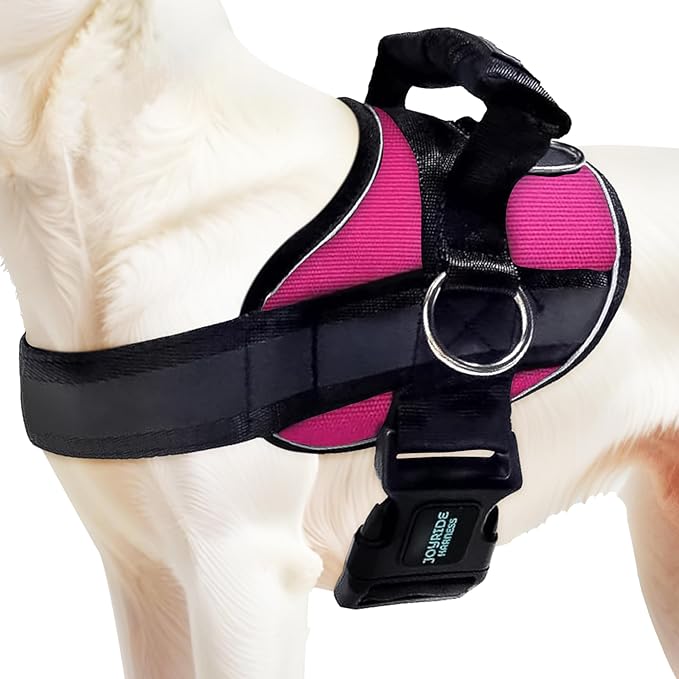 Joyride Harness 2.0 - The Original Side Ring No Pull Dog Harness - No Choke, Escape Proof, Reflective, 3 Leash Clips, Quick Fit Pet Vest - Easy Walks & Training - for Small, Medium & Large Dogs
