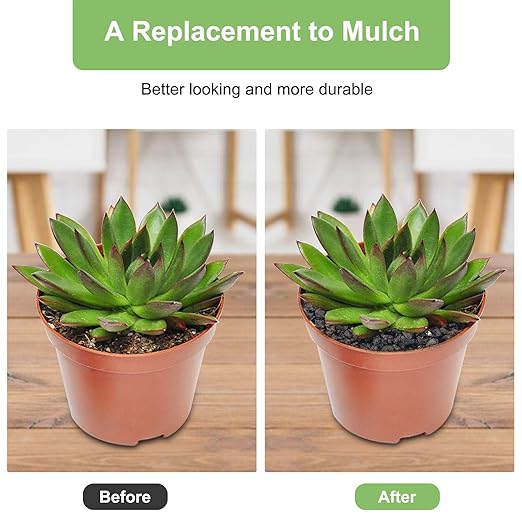 5 lbs Pebbles for Indoor Plants, Succulent, Cactus, 1/5 Inch Small Lava Rock for Plants Drainage, Natural Horticultural Volcanic Rock, Top-Dressing